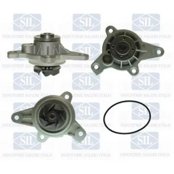 Pompe à eau Saleri SIL PA1256