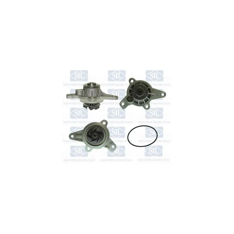 Pompe à eau Saleri SIL PA1256