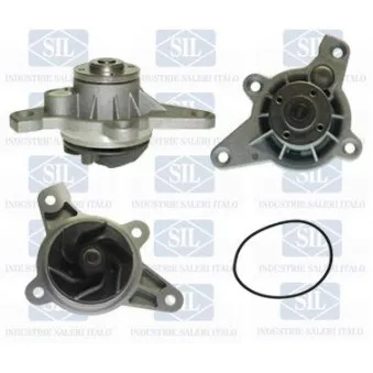 Pompe à eau Saleri SIL PA1258