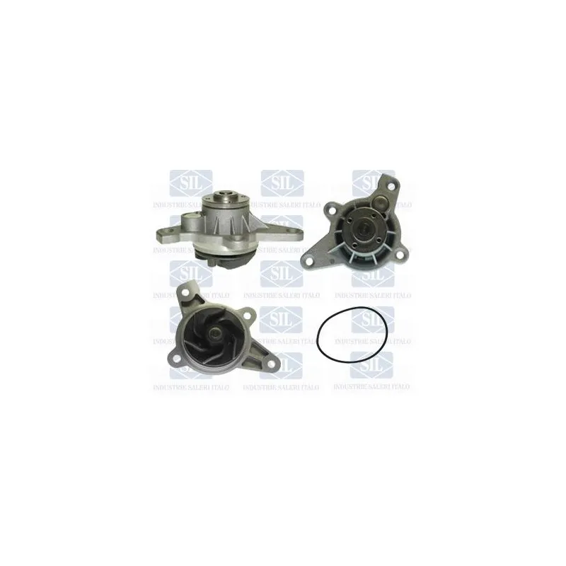 Pompe à eau Saleri SIL PA1258