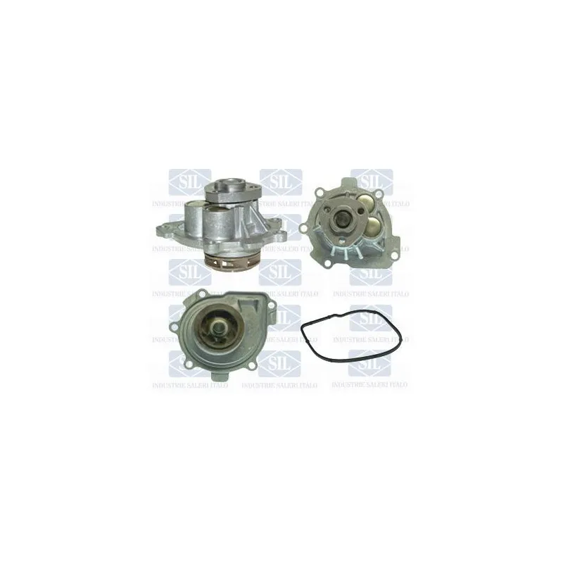 Pompe à eau Saleri SIL PA1259