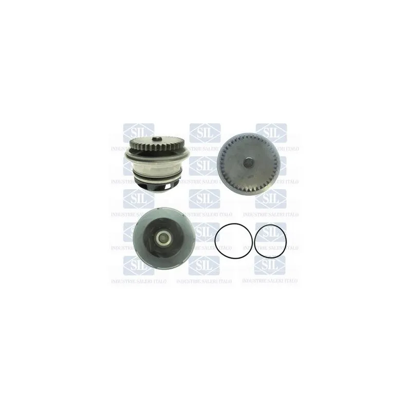 Pompe à eau Saleri SIL PA1261