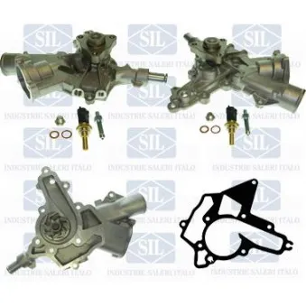 Pompe à eau Saleri SIL PA1269