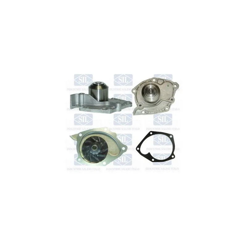 Pompe à eau Saleri SIL PA1274A