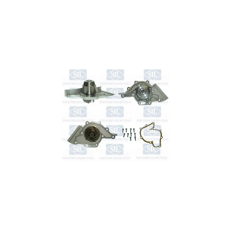 Pompe à eau Saleri SIL PA1299