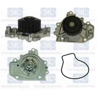 Pompe à eau Saleri SIL PA1302