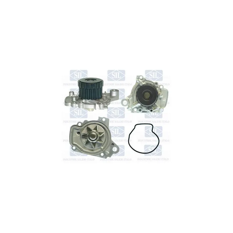 Pompe à eau Saleri SIL PA1303