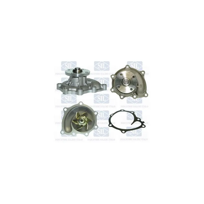 Pompe à eau Saleri SIL PA1312