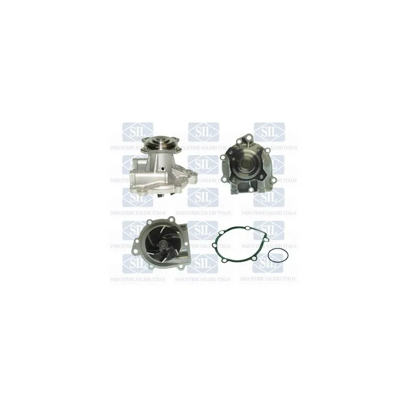 Pompe à eau Saleri SIL PA1320
