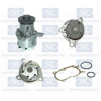 Pompe à eau Saleri SIL PA1332