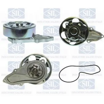 Pompe à eau Saleri SIL PA1333