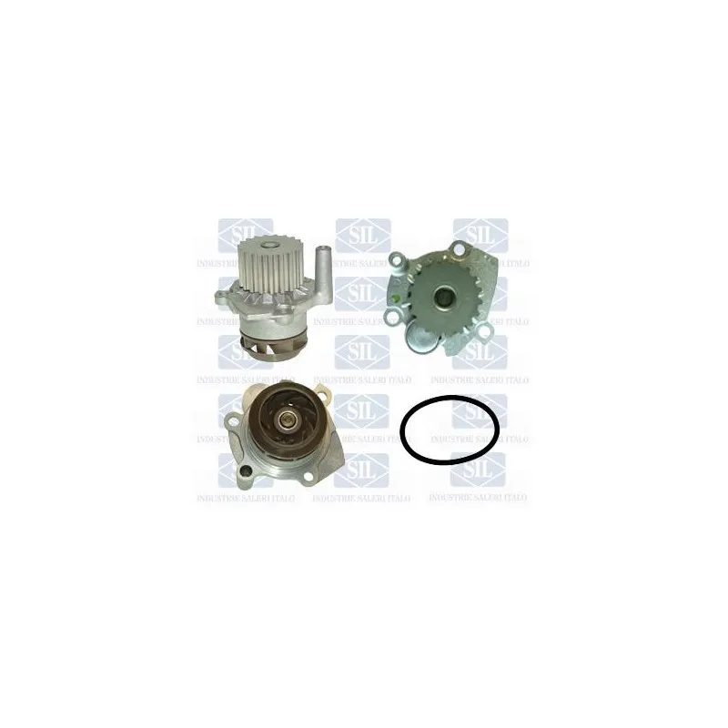 Pompe à eau Saleri SIL PA1354A