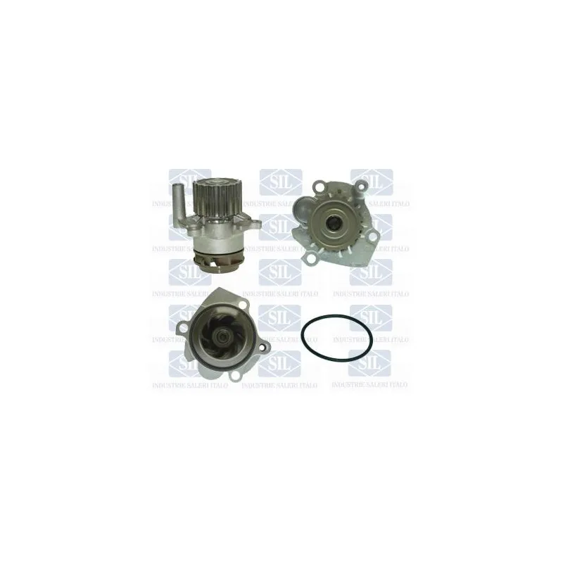 Pompe à eau Saleri SIL PA1355A