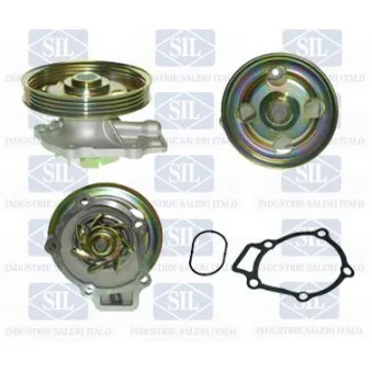 Pompe à eau Saleri SIL PA1366