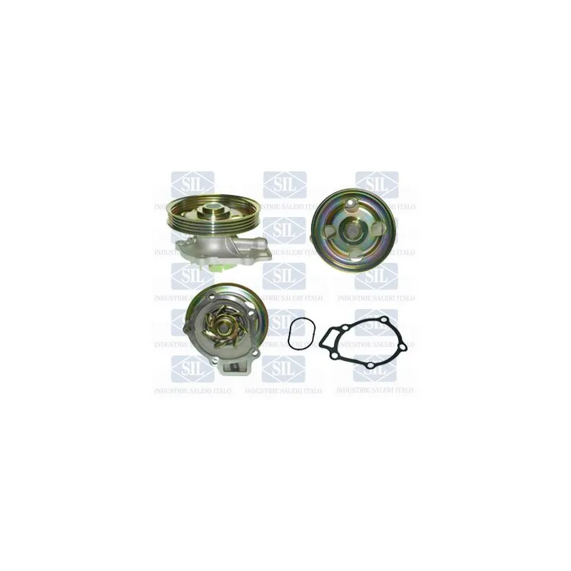 Pompe à eau Saleri SIL PA1366