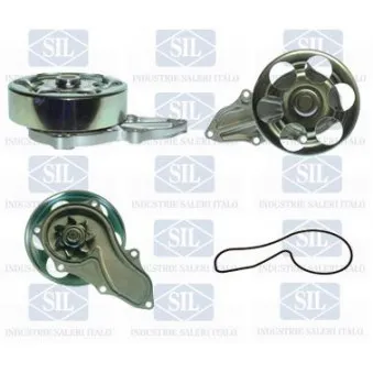 Pompe à eau Saleri SIL PA1381