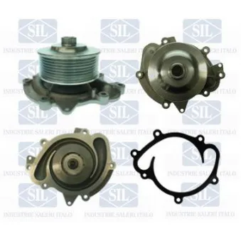 Pompe à eau Saleri SIL PA1386