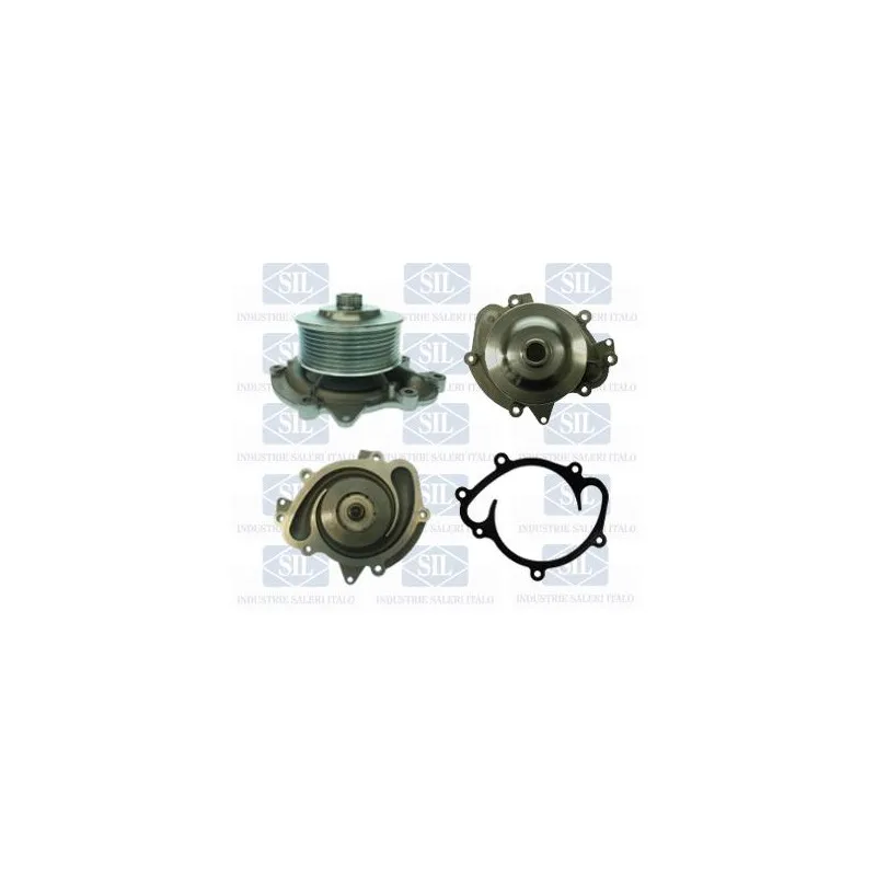 Pompe à eau Saleri SIL PA1386