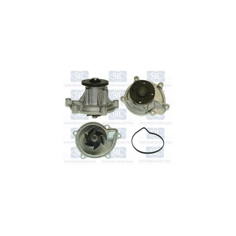 Pompe à eau Saleri SIL PA1390