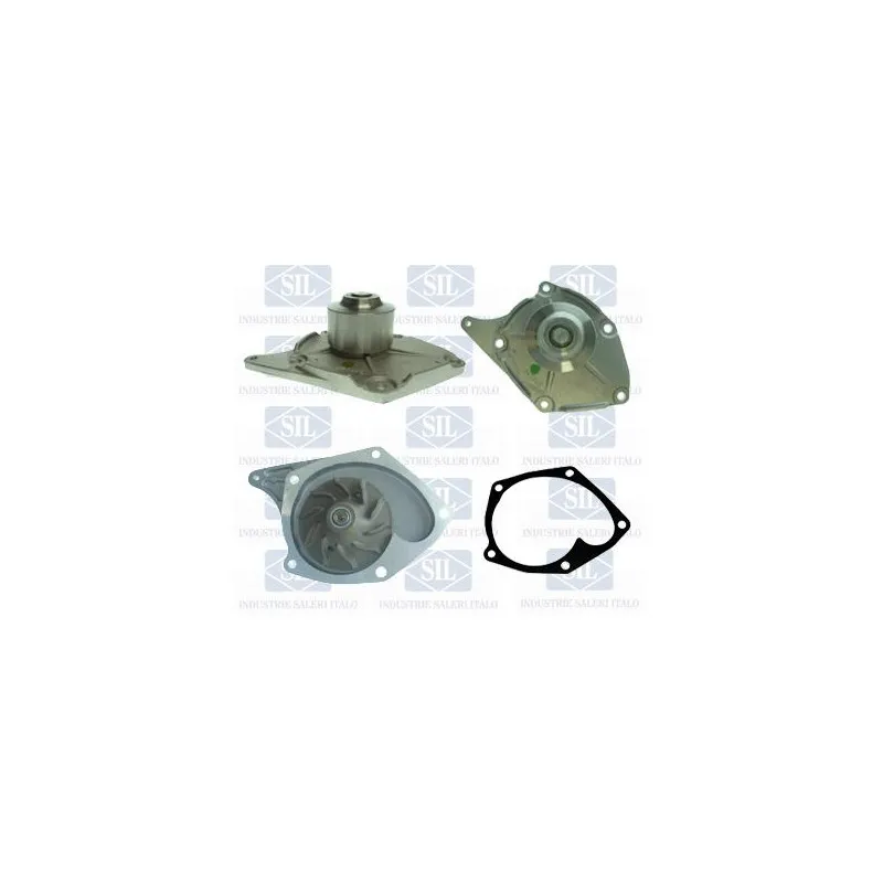 Pompe à eau Saleri SIL PA1395