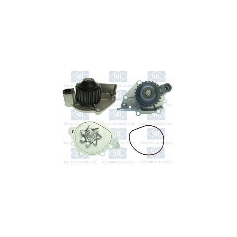 Pompe à eau Saleri SIL PA1406