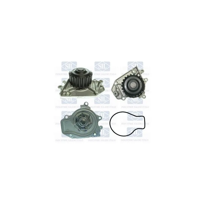 Pompe à eau Saleri SIL PA1409
