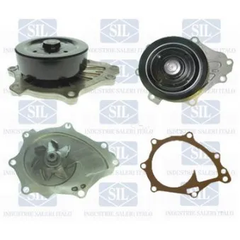 Pompe à eau Saleri SIL PA1441