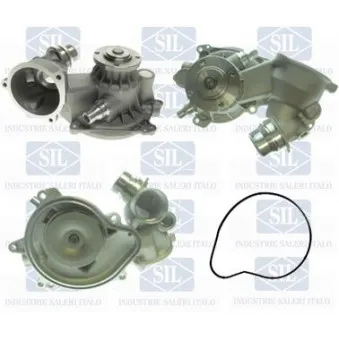 Pompe à eau Saleri SIL PA1443