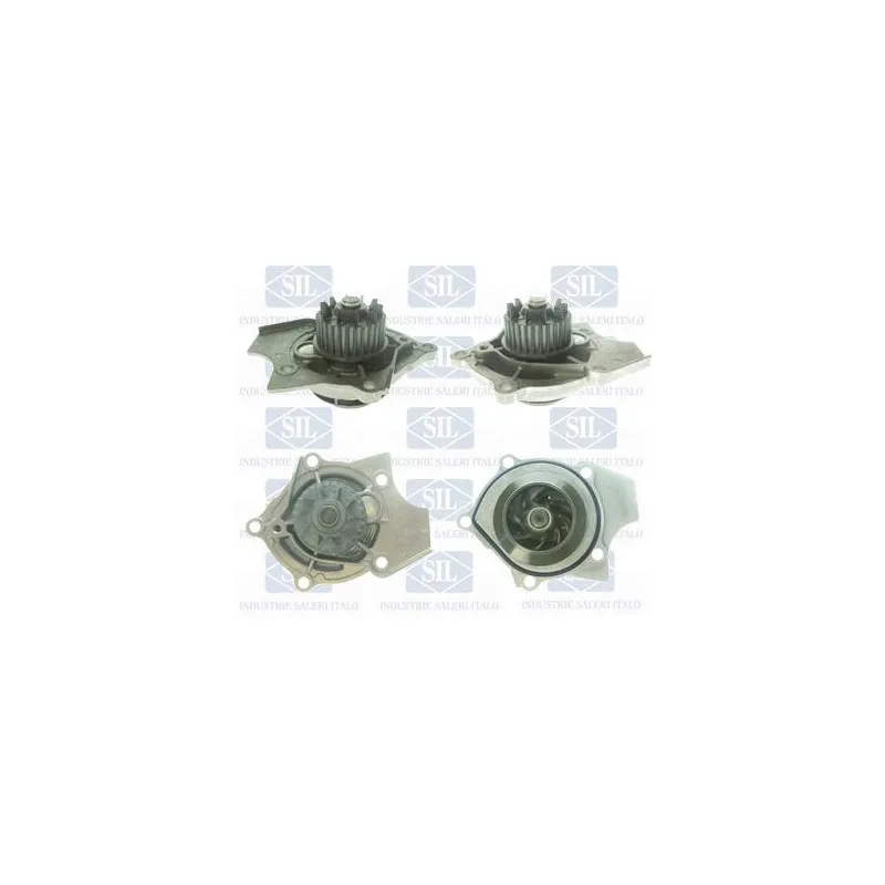 Pompe à eau Saleri SIL PA1448A