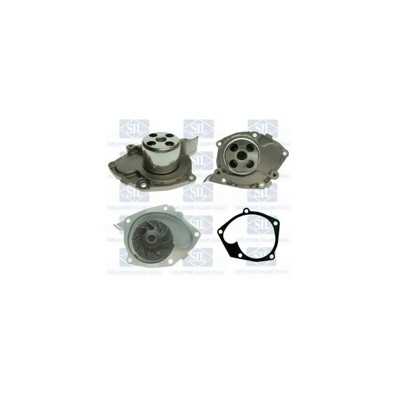 Pompe à eau Saleri SIL PA1452