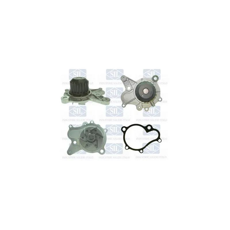 Pompe à eau Saleri SIL PA1454