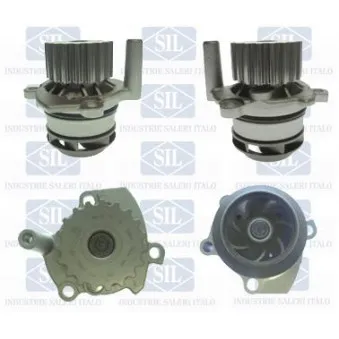 Pompe à eau Saleri SIL PA1455A