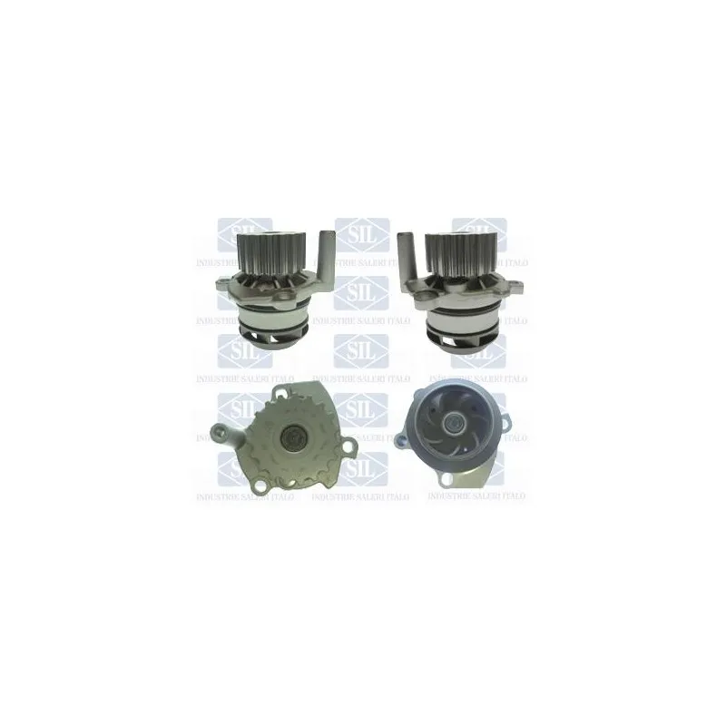 Pompe à eau Saleri SIL PA1455A