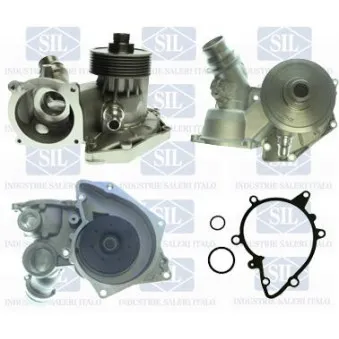 Pompe à eau Saleri SIL PA1456