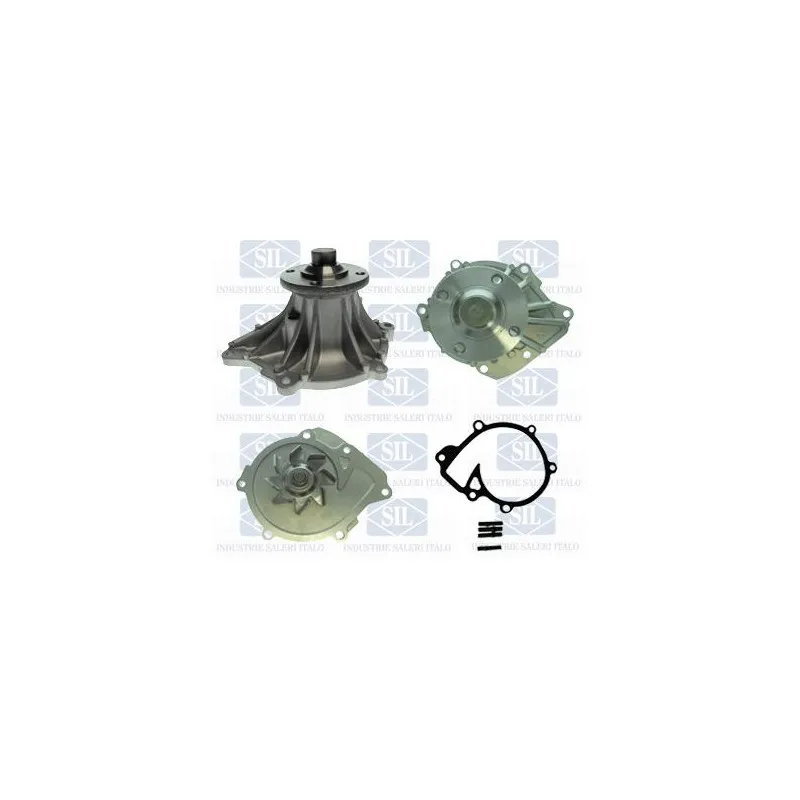 Pompe à eau Saleri SIL PA1457
