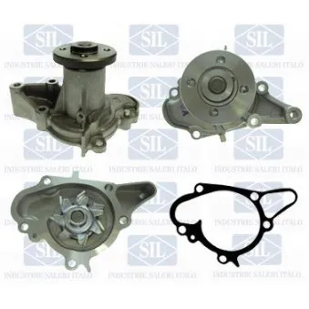 Pompe à eau Saleri SIL PA1459