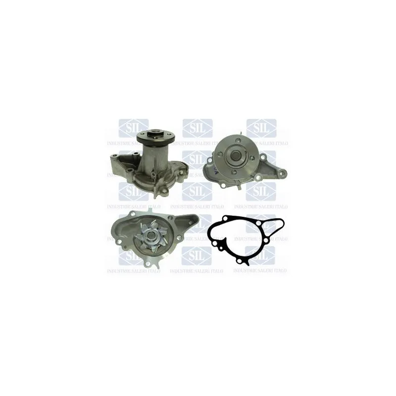 Pompe à eau Saleri SIL PA1459