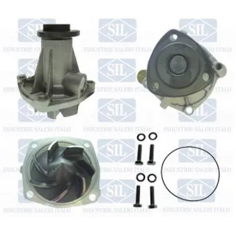 Pompe à eau Saleri SIL PA1464