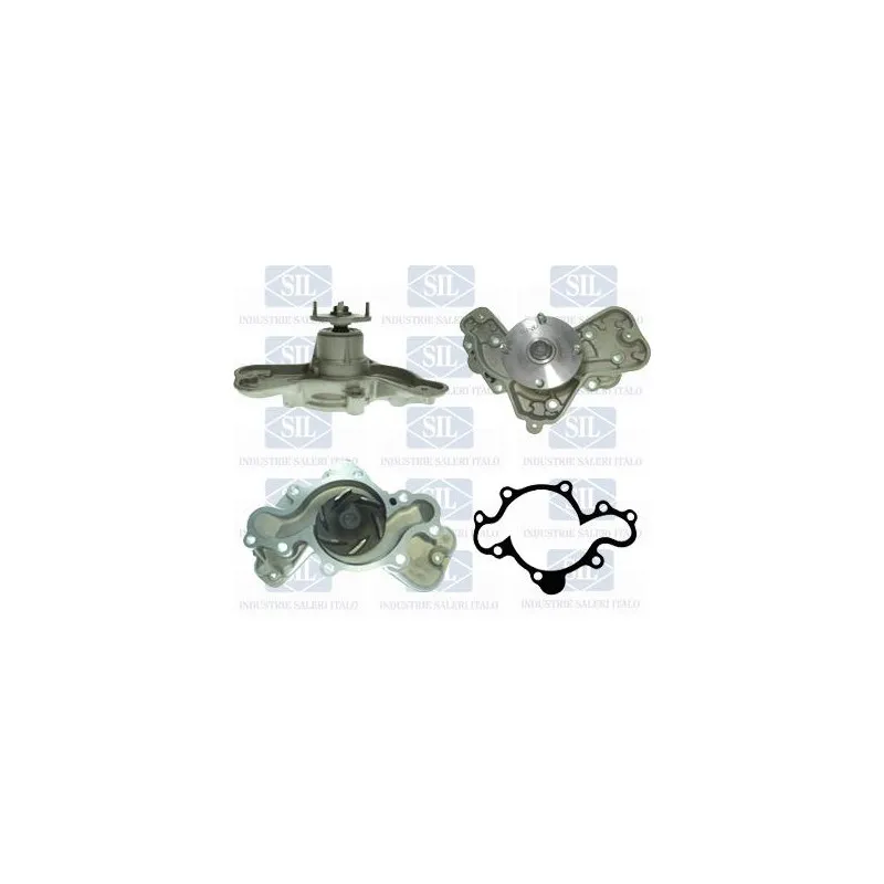 Pompe à eau Saleri SIL PA1470