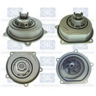 Pompe à eau Saleri SIL PA1474