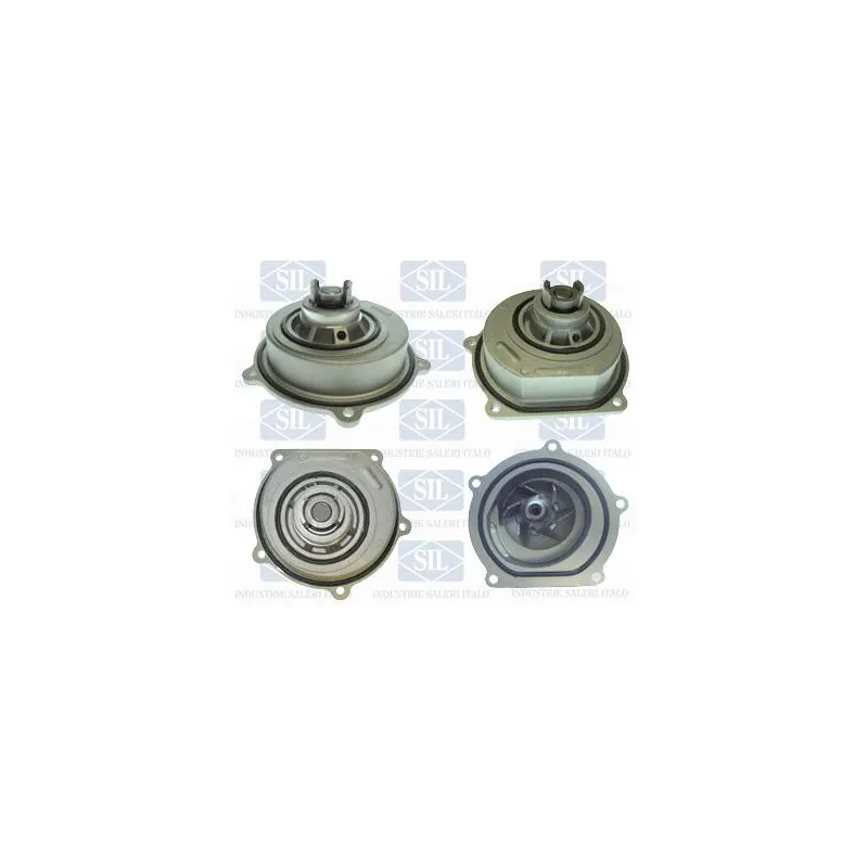 Pompe à eau Saleri SIL PA1474
