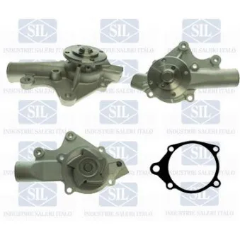 Pompe à eau Saleri SIL PA1483