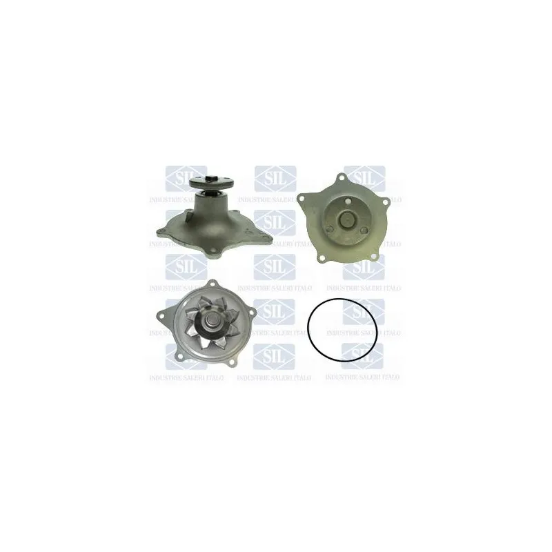 Pompe à eau Saleri SIL PA1486