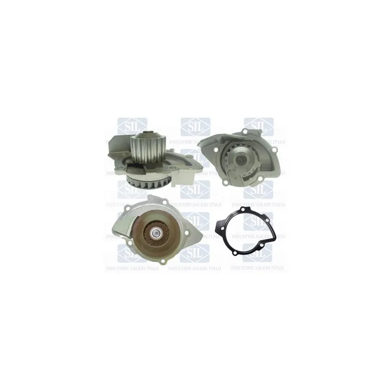Pompe à eau Saleri SIL PA1501