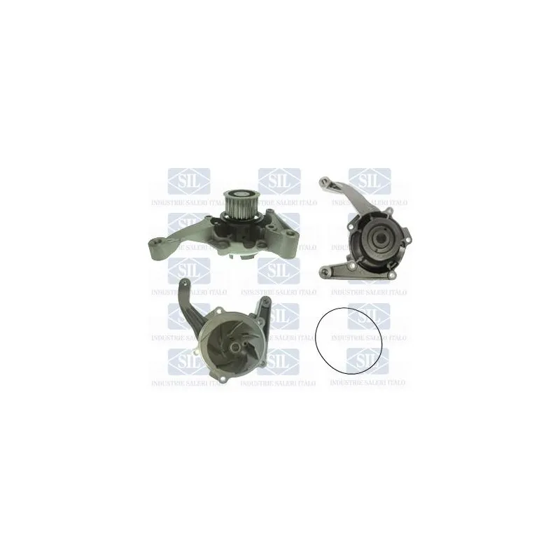 Pompe à eau Saleri SIL PA1503