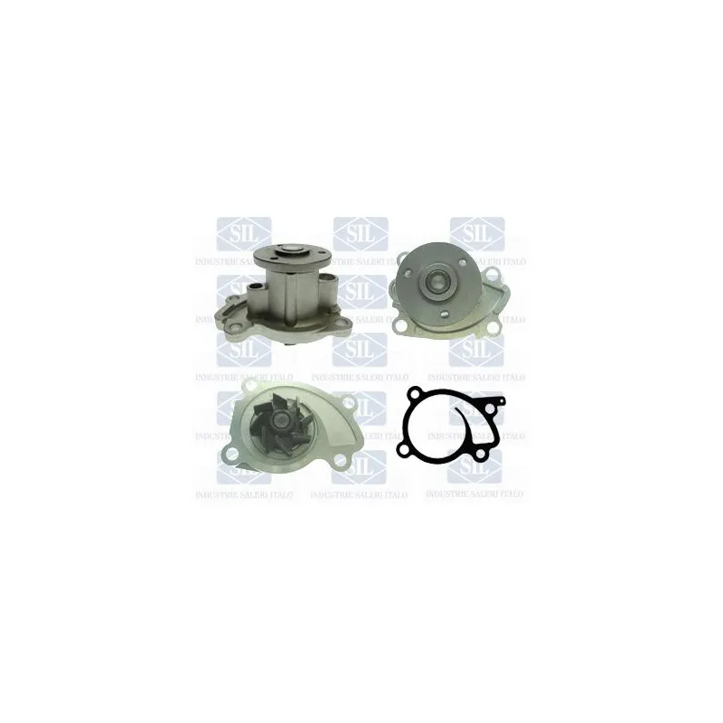 Pompe à eau Saleri SIL PA1504