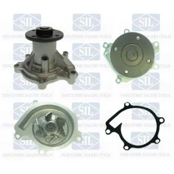 Pompe à eau Saleri SIL PA1506