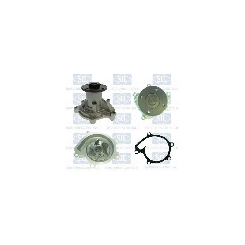 Pompe à eau Saleri SIL PA1506