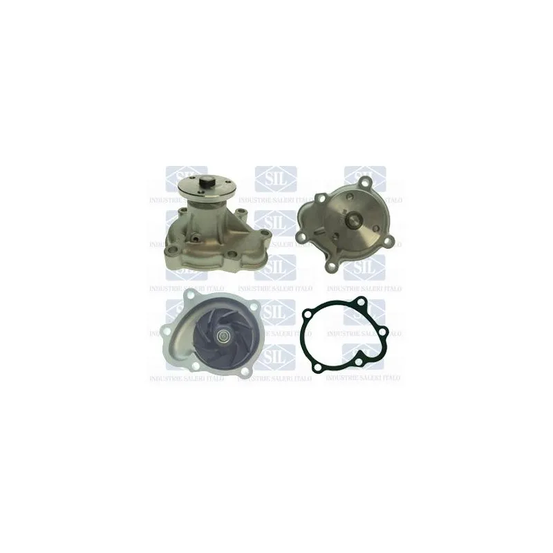 Pompe à eau Saleri SIL PA1509