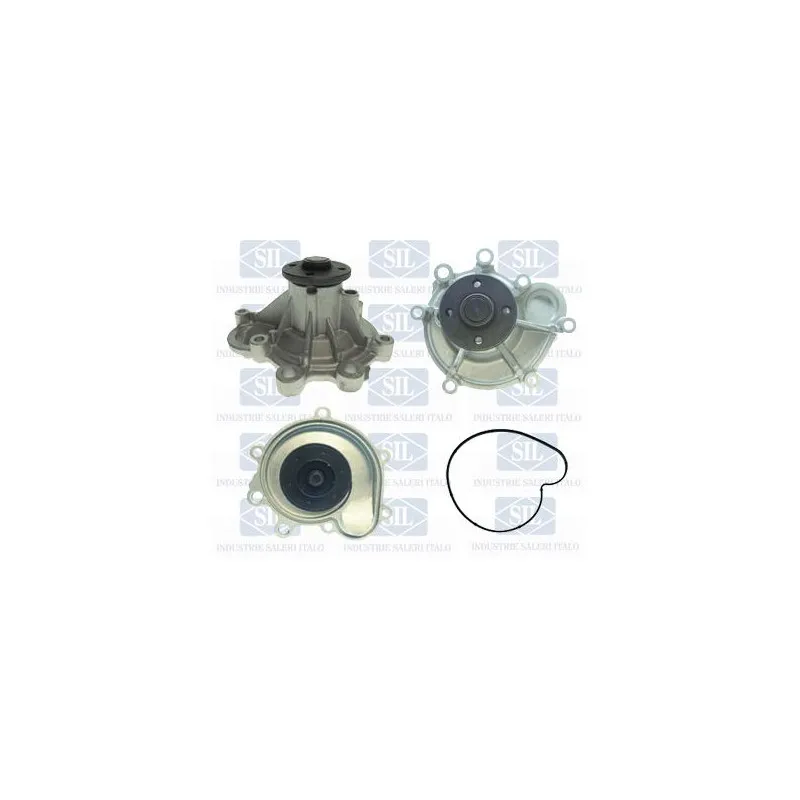 Pompe à eau Saleri SIL PA1512